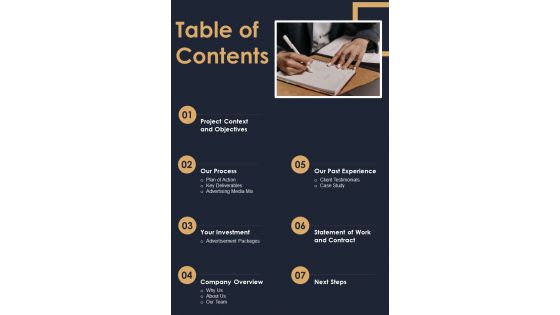 Table Of Contents Television Marketing Campaign Proposal One Pager Sample Example Document