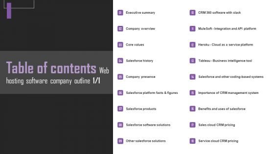 Table Of Contents Web Hosting Software Company Outline Sample PDF