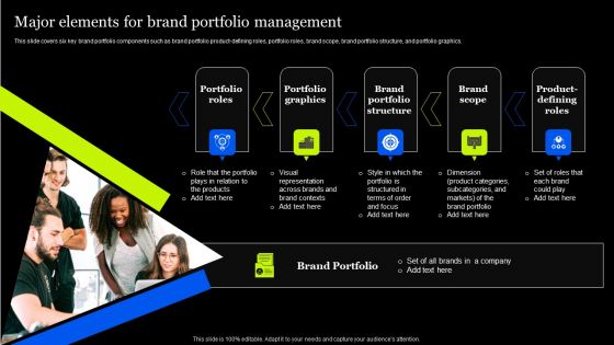 Tactical Approach To Enhance Brand Portfolio Major Elements For Brand Portfolio Management Infographics PDF