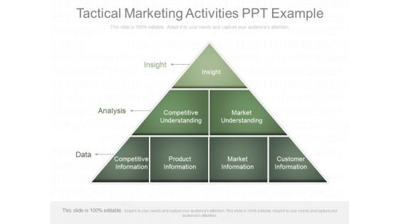 Tactical Marketing Activities Ppt Example Tactical Marketing Activities Ppt Example