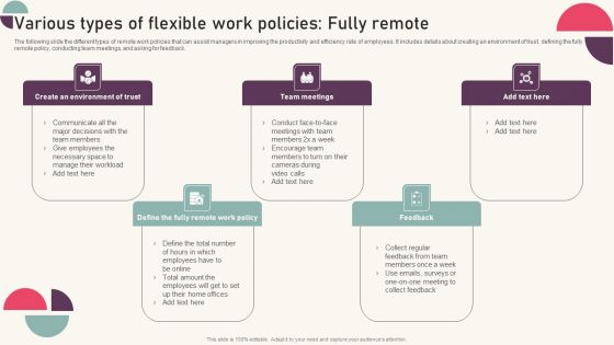 Tactics For Establishing Sustainable Hybrid Work Environment Various Types Of Flexible Work Policies Fully Remote Elements PDF