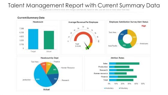 Talent Management Report With Current Summary Data Ppt Gallery Example Topics PDF