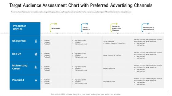 Target Audience Assessment Chart With Preferred Advertising Channels Microsoft PDF