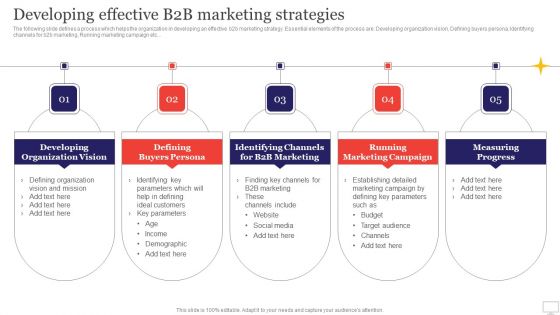 Target Audience Strategy For B2B And B2C Business Developing Effective B2B Marketing Strategies Brochure PDF