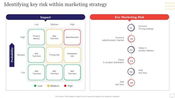 Target Audience Strategy For B2B And B2C Business Identifying Key Risk Within Marketing Strategy Professional PDF