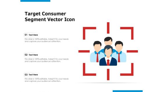 Target Consumer Segment Vector Icon Ppt PowerPoint Presentation Infographic Template Icon PDF