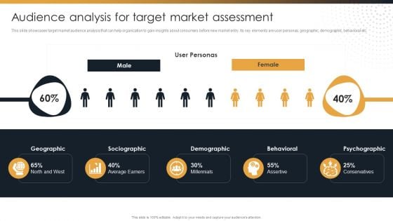 Target Customer Analysis Audience Analysis For Target Market Assessment Professional PDF