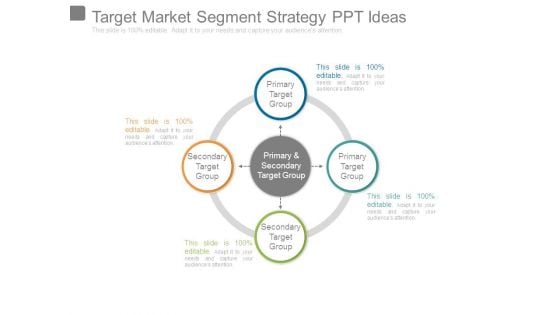 Target Market Segment Strategy Ppt Ideas