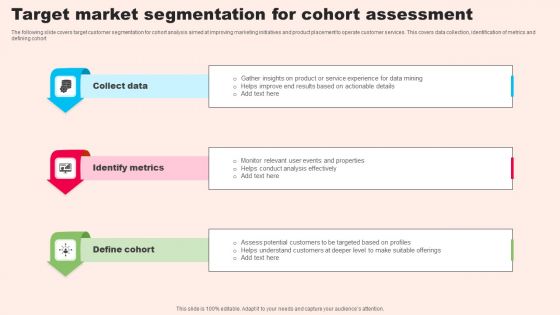 Target Market Segmentation For Cohort Assessment Mockup PDF Target Market Segmentation For Cohort Assessment Mockup PDF