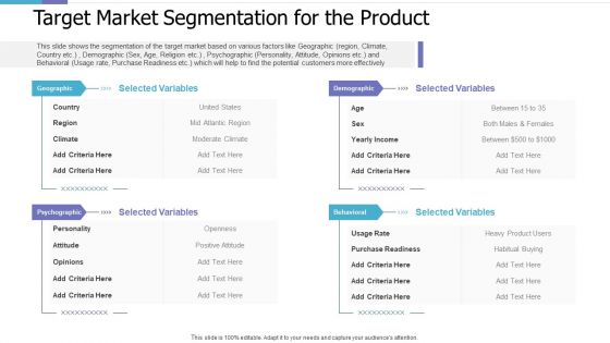 Target Market Segmentation For The Product Investor Pitch Deck For PE Funding Graphics PDF