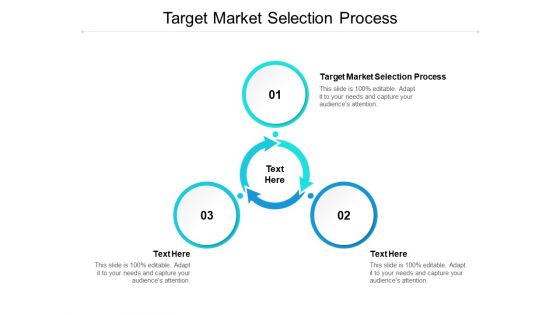 Target Market Selection Process Ppt PowerPoint Presentation Gallery Objects Cpb