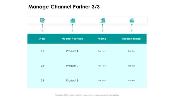 Target Market Strategy Manage Channel Partner Pricing Ppt Guide PDF