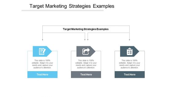 Target Marketing Strategies Examples Ppt PowerPoint Presentation Portfolio Cpb