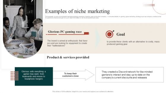 Target Marketing Techniques Examples Of Niche Marketing Information PDF