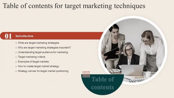 Target Marketing Techniques For Table Of Contents Structure PDF