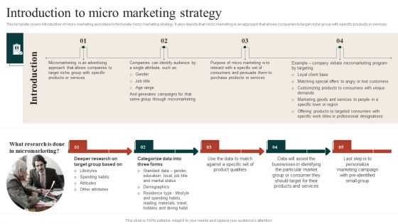 Target Marketing Techniques Introduction To Micro Marketing Strategy Designs PDF