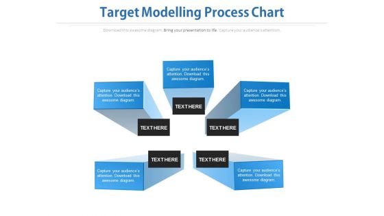 Target Modelling Process Chart Ppt Slides