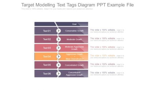 Target Modelling Text Tags Diagram Ppt Example File