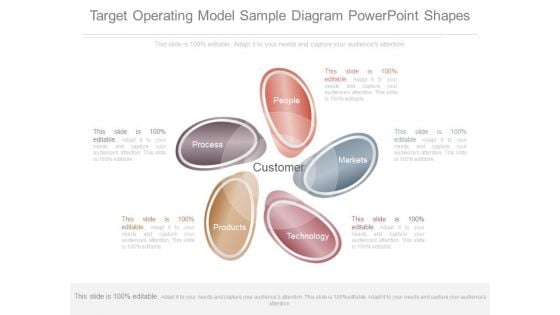 Target Operating Model Sample Diagram Powerpoint Shapes