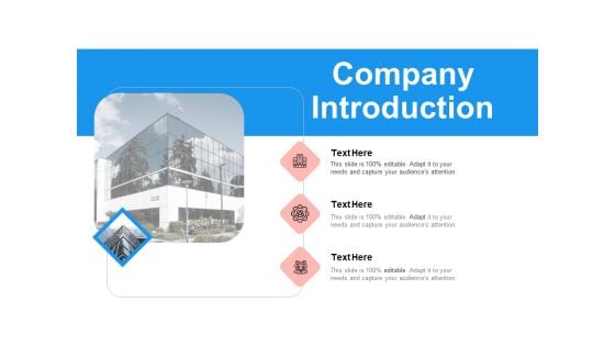 Target Persona Company Introduction Ppt Slides Gallery PDF