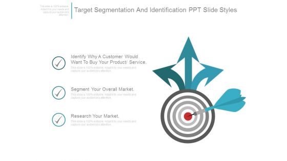 Target Segmentation And Identification Ppt Slide Styles