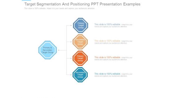 Target Segmentation And Positioning Ppt Presentation Examples