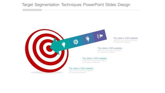 Target Segmentation Techniques Powerpoint Slides Design