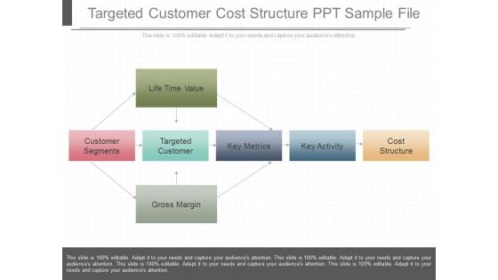 Targeted Customer Cost Structure Ppt Sample File