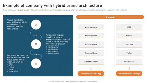 Targeted Market Entry Strategy Example Of Company With Hybrid Brand Architecture Sample PDF