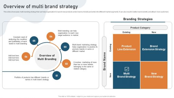 Targeted Market Entry Strategy Overview Of Multi Brand Strategy Summary PDF