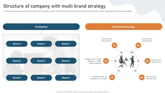 Targeted Market Entry Strategy Structure Of Company With Multi Brand Strategy Download PDF