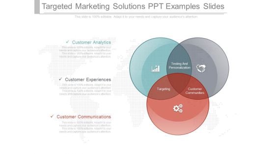 Targeted Marketing Solutions Ppt Examples Slides