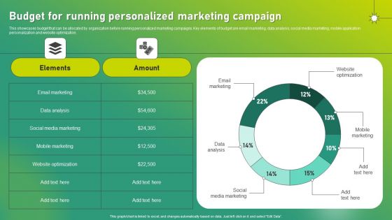 Targeted Marketing Strategic Plan For Audience Engagement Budget For Running Personalized Marketing Campaign Infographics PDF