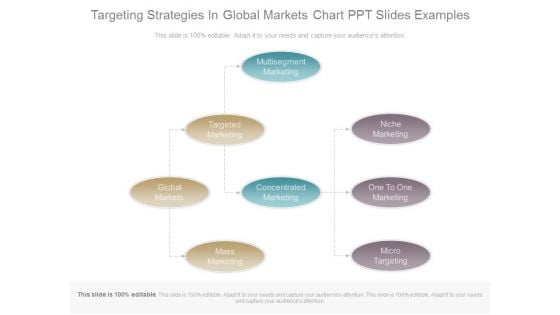 Targeting Strategies In Global Markets Chart Ppt Slides Examples