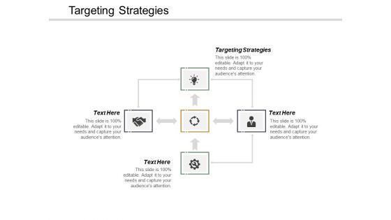 Targeting Strategies Ppt Powerpoint Presentation Show Graphics Cpb