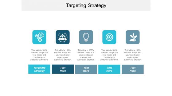 Targeting Strategy Ppt PowerPoint Presentation Inspiration Rules Cpb