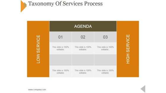 Taxonomy Of Services Process Ppt PowerPoint Presentation Icon Template