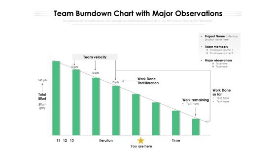 Team Burndown Chart With Major Observations Ppt PowerPoint Presentation Professional Template PDF