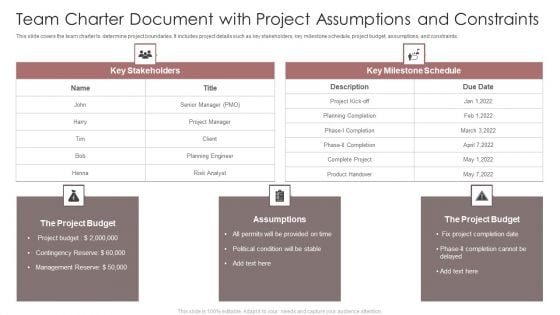 Team Charter Document With Project Assumptions And Constraints Ppt Show Professional PDF