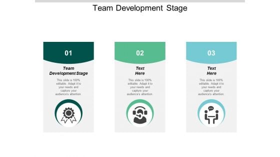 Team Development Stage Ppt Powerpoint Presentation Summary Icon Cpb