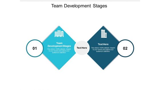 Team Development Stages Ppt PowerPoint Presentation Slides Templates Cpb