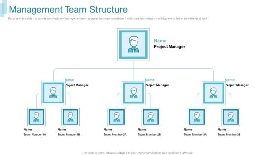 Team Forming IT Project Management Team Structure Ppt File Gallery PDF