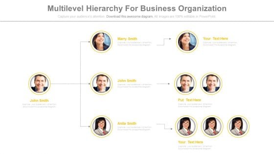 Team Hierarchy For Business Organization Powerpoint Slides