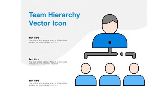 Team Hierarchy Vector Icon Ppt PowerPoint Presentation Layouts Show