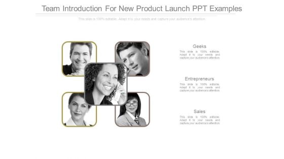 Team Introduction For New Product Launch Ppt Examples