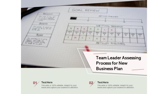 Team Leader Assessing Process For New Business Plan Ppt PowerPoint Presentation File Visuals PDF