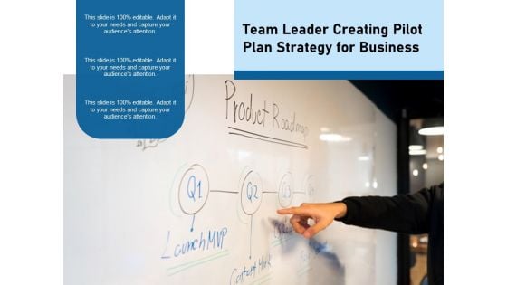 Team Leader Creating Pilot Plan Strategy For Business Ppt PowerPoint Presentation Portfolio Examples PDF