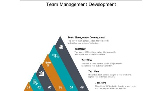 Team Management Development Ppt PowerPoint Presentation Infographic Template Slides Cpb