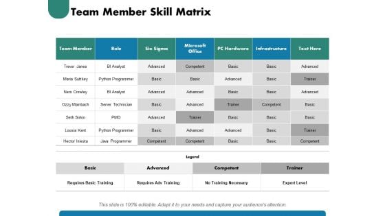 Team Member Skill Matrix Ppt PowerPoint Presentation Gallery Inspiration