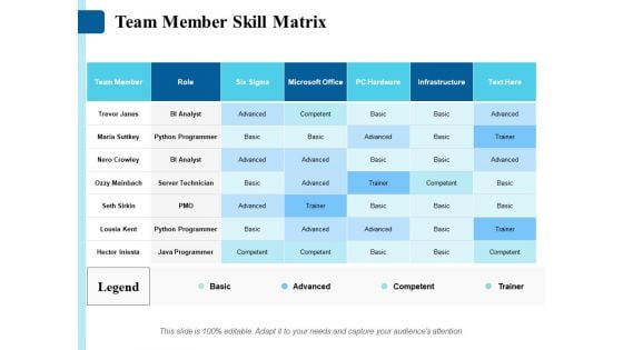 Team Member Skill Matrix Ppt PowerPoint Presentation Layouts Graphics Design